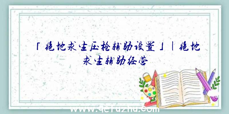 「绝地求生压枪辅助设置」|绝地求生辅助经营